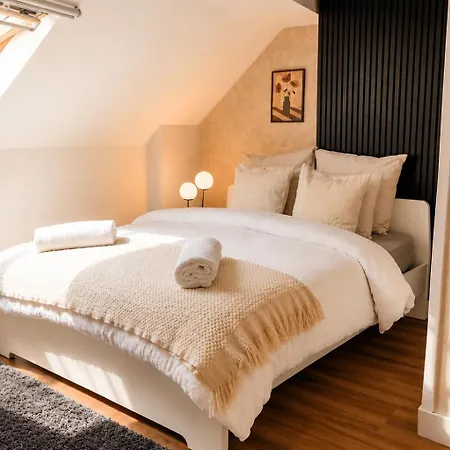 Charming & Cozy In The Heart Of * ヘント